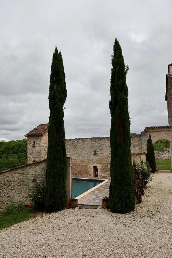 Chateau De Pleneselve Bon-Encontre Luaran gambar