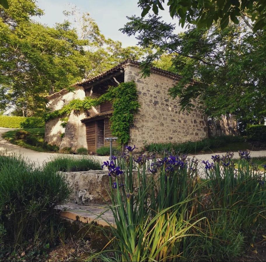 Chateau De Pleneselve Bon-Encontre Luaran gambar