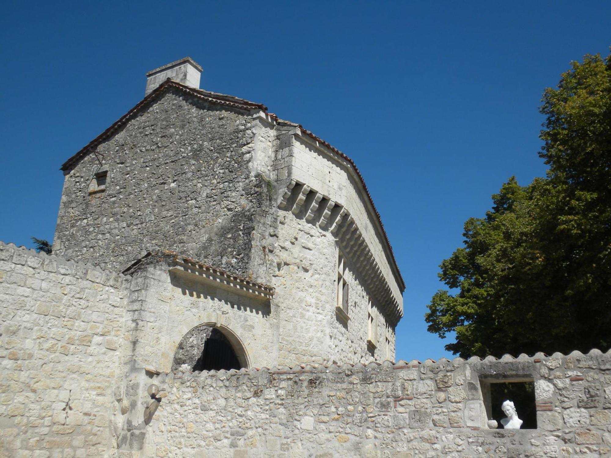 Chateau De Pleneselve Bon-Encontre Luaran gambar