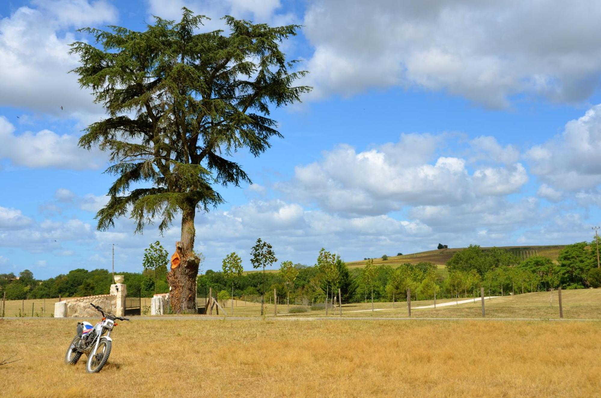 Chateau De Pleneselve Bon-Encontre Luaran gambar