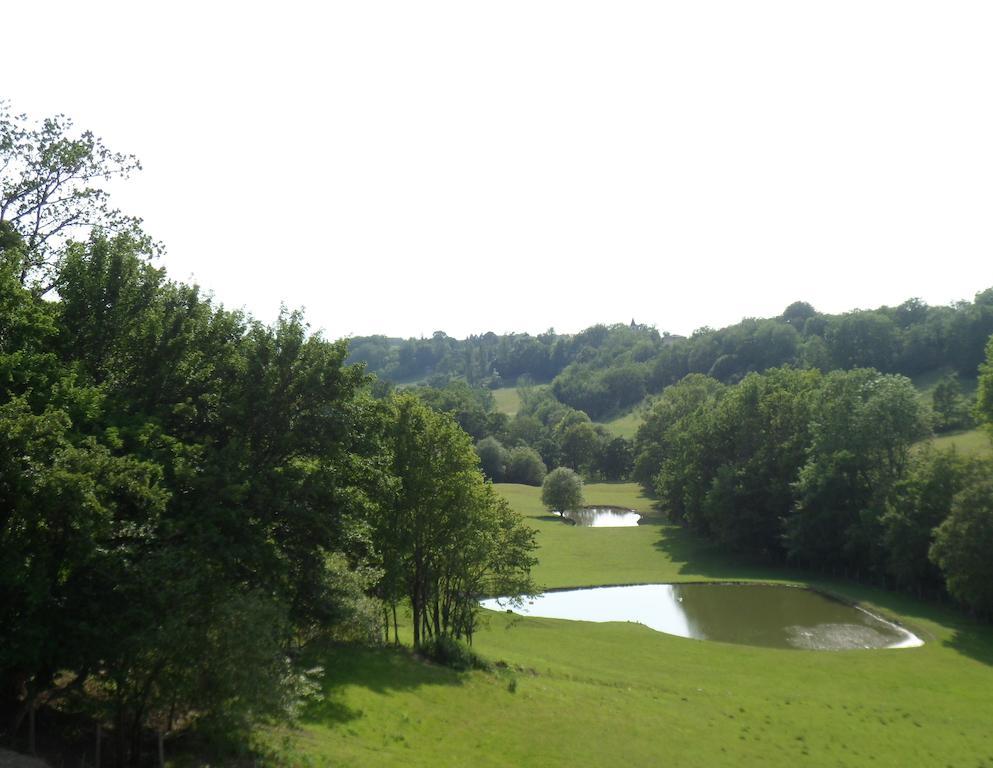 Chateau De Pleneselve Bon-Encontre Bilik gambar